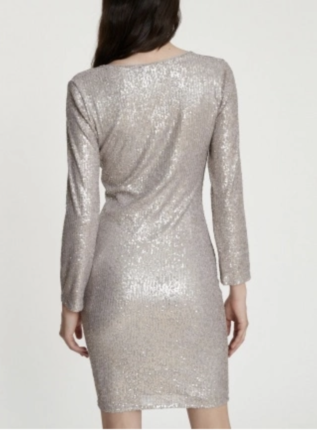 ANA ALCAZAR Kleid TADIA silber